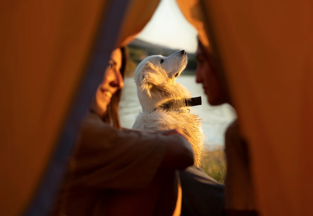 teepee tent parties