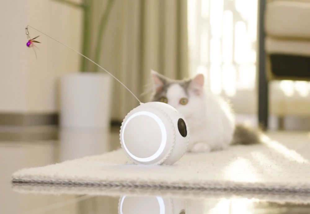 pet camera robot