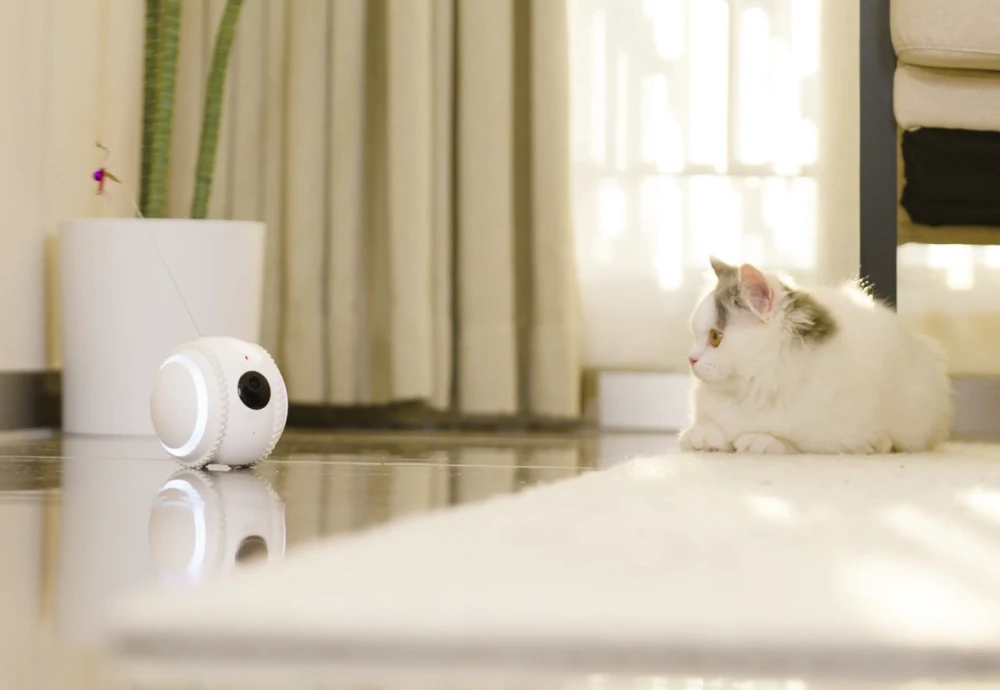 best home camera for pets