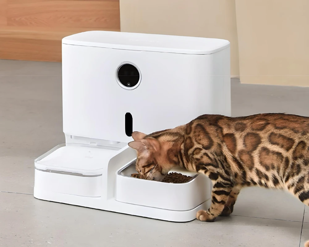 best automatic dog feeder