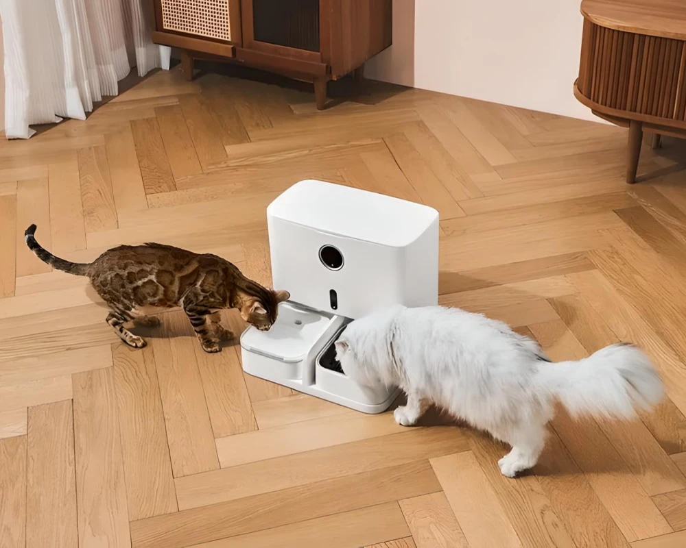 automatic pet feeder multiple cats